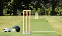 Cricket