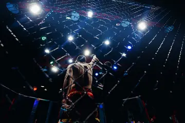 Mixed Martial Arts (MMA)