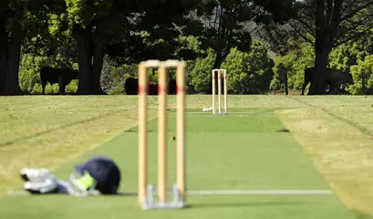 Cricket